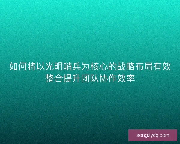 如何将以光明哨兵为核心的战略布局有效整合提升团队协作效率