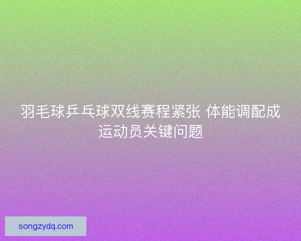 羽毛球乒乓球双线赛程紧张 体能调配成运动员关键问题