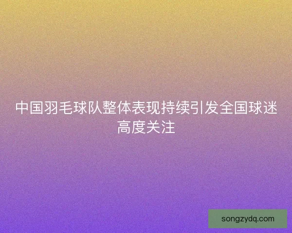 中国羽毛球队整体表现持续引发全国球迷高度关注